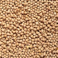 Chickpeas organic 5 kg   COUNTRY LIFE